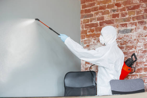 Best Mold Remediation for Rental Properties  in USA